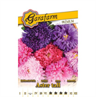 GF. PRÉMIUM VIRÁGMAG ŐSZIRÓZSA KALIFORNIAI ÓRIÁS (10)