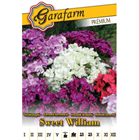 GF. PRÉMIUM VIRÁGMAG TÖRÖKSZEGFŰ TELTVIRÁGÚ ALACSONY SZÍNKEVERÉK (10)