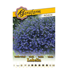 GF. PRÉMIUM VIRÁGMAG CSÜNGŐ LOBÉLIA KÉK (10)