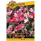 GF. VIRÁGMAG NYÁRI AZÁLEA MAGAS SZÍNKEVERÉK (10)