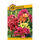 GF. VIRÁGMAG KAKASTARÉJ TARÉJOS VIRÁGÚ SZÍNKEVERÉK (10)