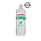 (DRS) APENTA SZÉNSAVMENTES ÜDÍTŐITAL 750ML ENERGY WATER MATCHA (12)