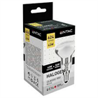 ENTAC HALOGÉN IZZÓ MINI E14 42W (10)