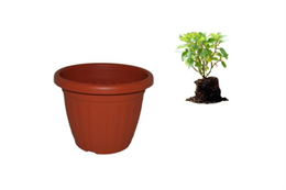 E. VIRÁGCSERÉP 50CM TERRA (10)