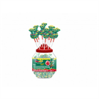 BON BON BUMM RÁGÓS NYALÓKA 100X17G JO-JO-JO (henger) (1)