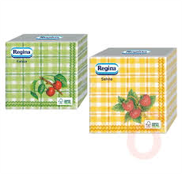 REGINA SZALVÉTA SALVIA MAGNA MIX 45DB 1RTG 38x38CM (28)